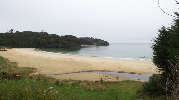 Stewart Island