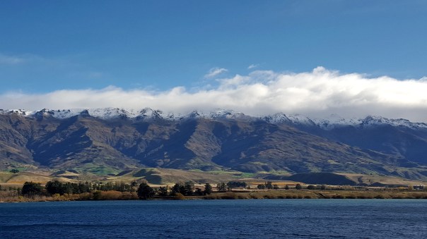New Zealand bus pic 2