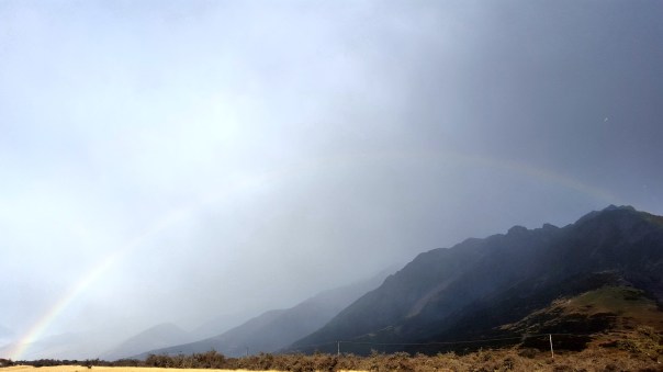 New Zealand bus pic 3