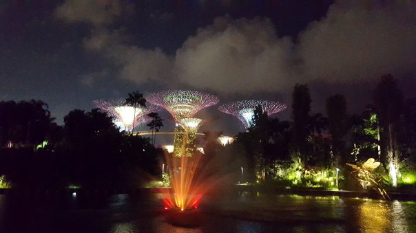 singapore-night-3